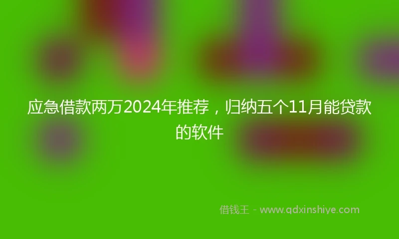 应急借款两万2024年推荐，归纳五个11月能贷款的软件