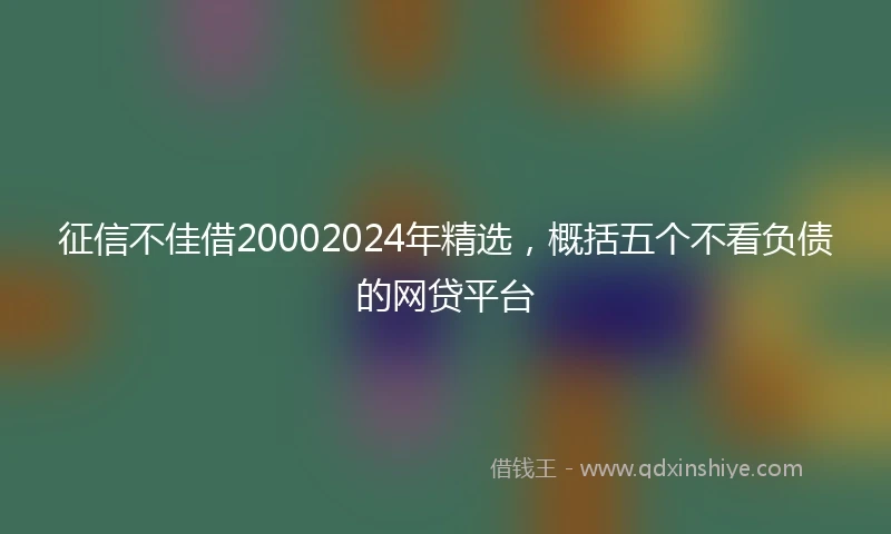 征信不佳借20002024年精选，概括五个不看负债的网贷平台