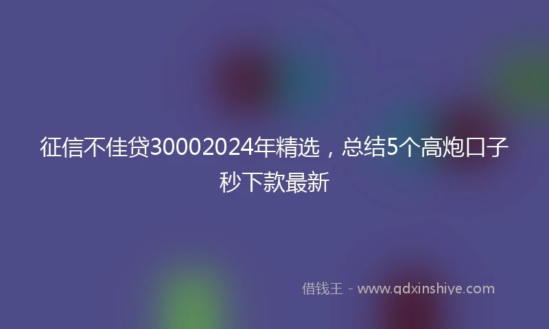 征信不佳贷30002024年精选，总结5个高炮口子秒下款最新