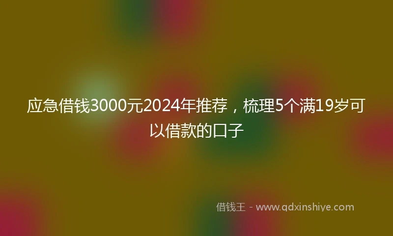 应急借钱3000元2024年推荐，梳理5个满19岁可以借款的口子