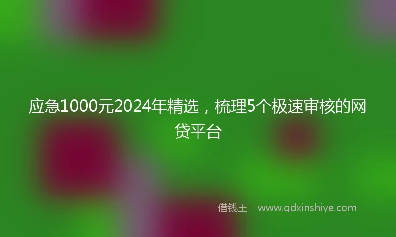 应急1000元2024年精选，梳理5个极速审核的网贷平台