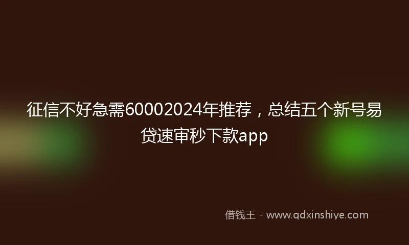 征信不好急需60002024年推荐，总结五个新号易贷速审秒下款app