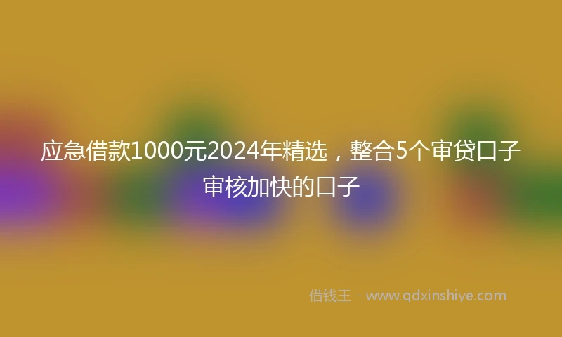 应急借款1000元2024年精选，整合5个审贷口子审核加快的口子