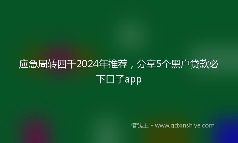 应急周转四千2024年推荐，分享5个黑户贷款必下口子app
