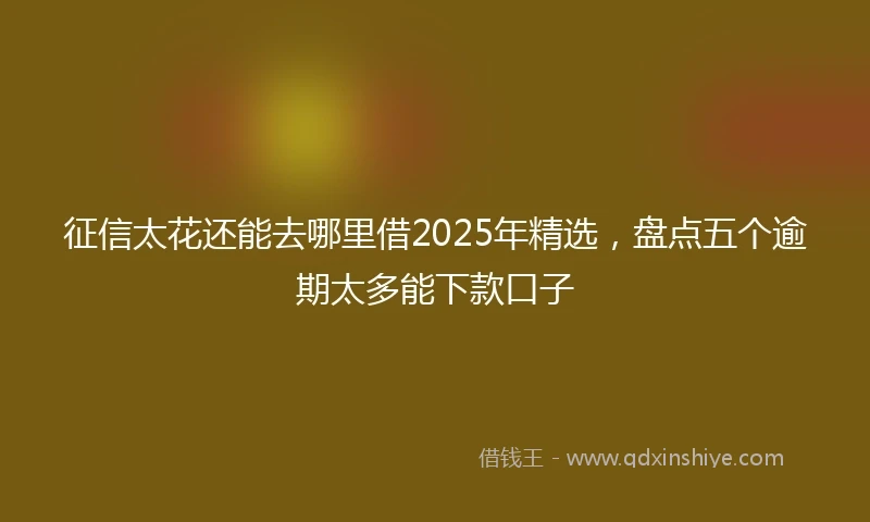 征信太花还能去哪里借2025年精选，盘点五个逾期太多能下款口子