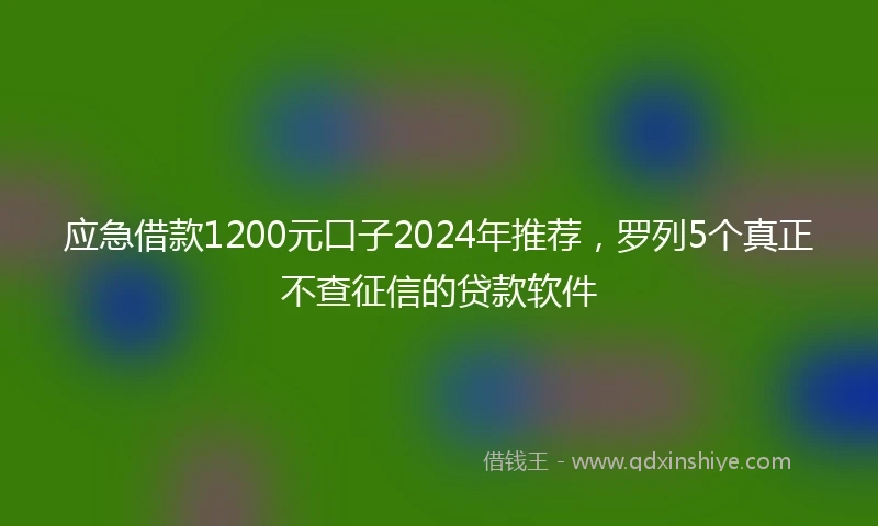 应急借款1200元口子2024年推荐，罗列5个真正不查征信的贷款软件