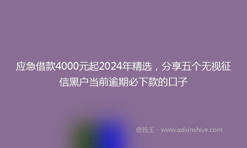 应急借款4000元起2024年精选，分享五个无视征信黑户当前逾期必下款的口子