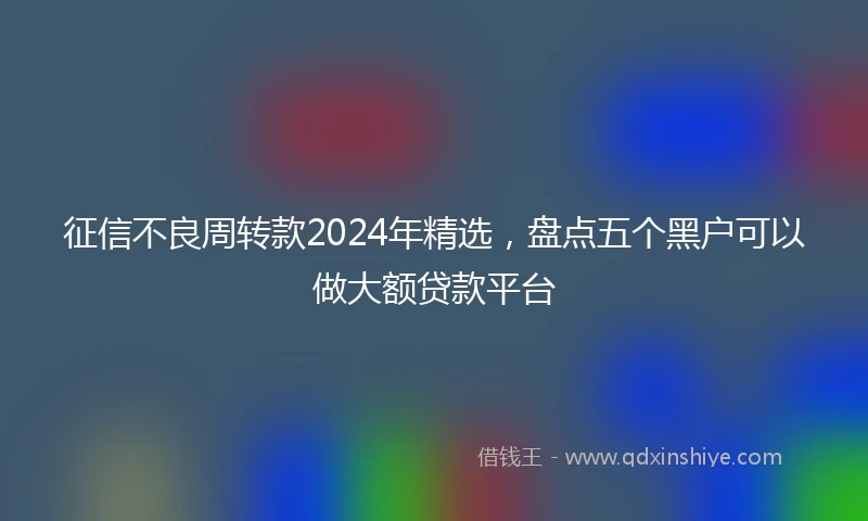 征信不良周转款2024年精选，盘点五个黑户可以做大额贷款平台