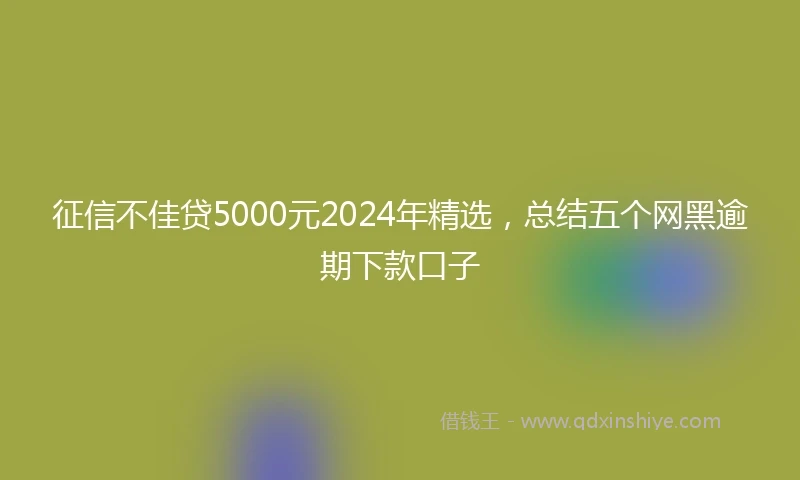 征信不佳贷5000元2024年精选，总结五个网黑逾期下款口子