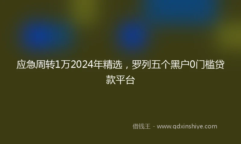 应急周转1万2024年精选，罗列五个黑户0门槛贷款平台