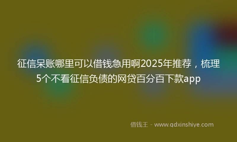 征信呆账哪里可以借钱急用啊2025年推荐，梳理5个不看征信负债的网贷百分百下款app