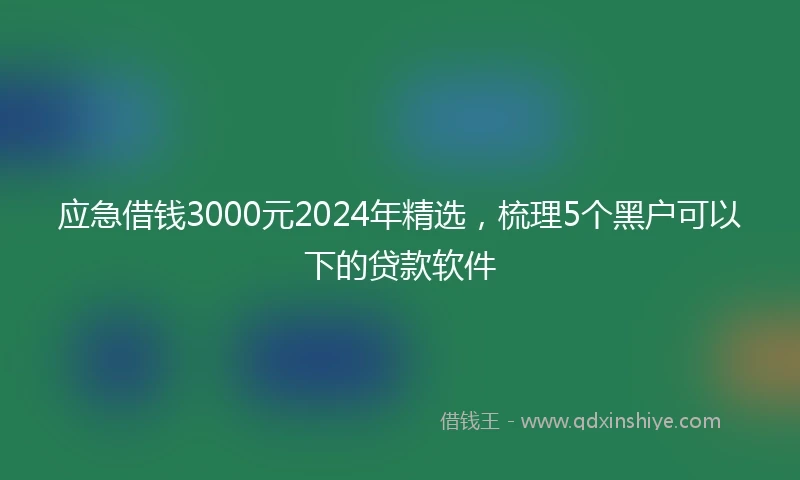应急借钱3000元2024年精选，梳理5个黑户可以下的贷款软件