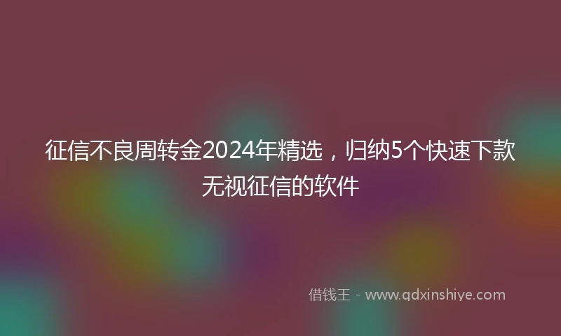 征信不良周转金2024年精选，归纳5个快速下款无视征信的软件