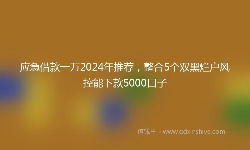 应急借款一万2024年推荐，整合5个双黑烂户风控能下款5000口子