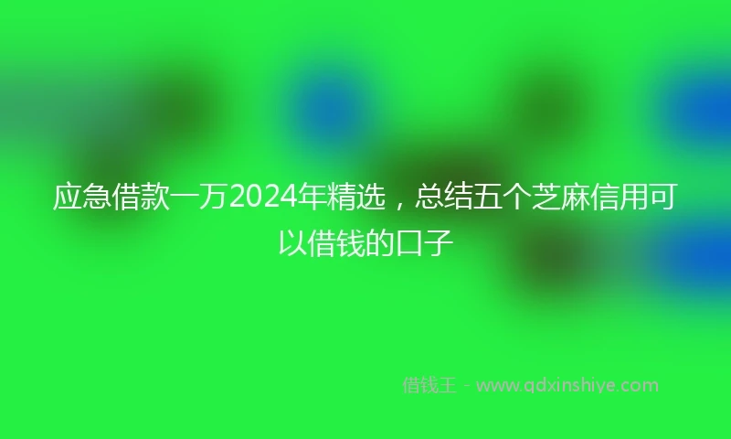 应急借款一万2024年精选，总结五个芝麻信用可以借钱的口子