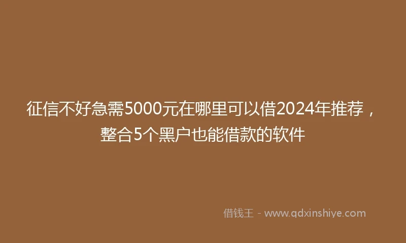 征信不好急需5000元在哪里可以借2024年推荐，整合5个黑户也能借款的软件