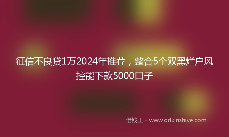 征信不良贷1万2024年推荐，整合5个双黑烂户风控能下款5000口子