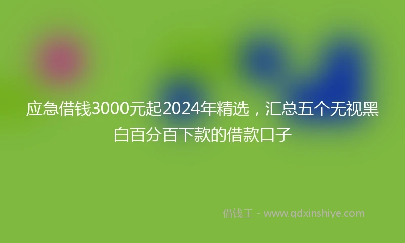 应急借钱3000元起2024年精选，汇总五个无视黑白百分百下款的借款口子