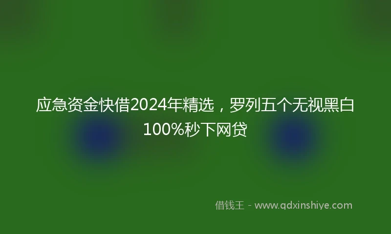 应急资金快借2024年精选，罗列五个无视黑白100%秒下网贷