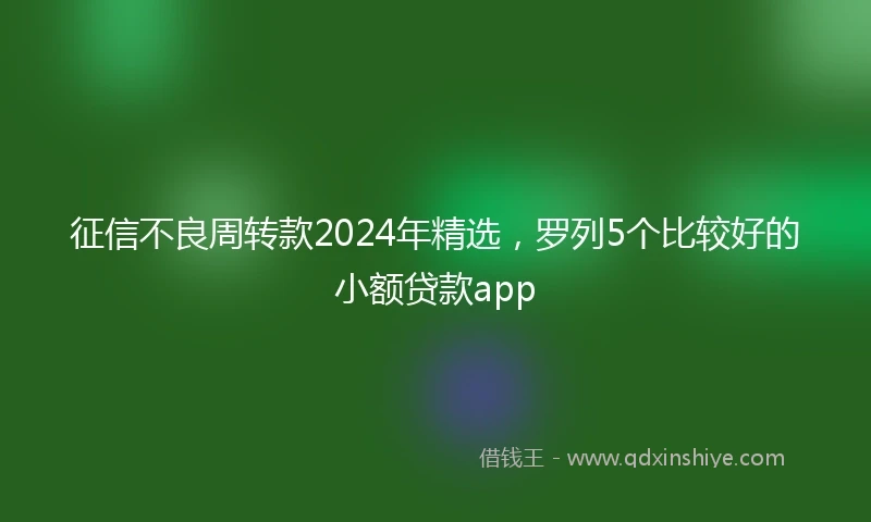 征信不良周转款2024年精选，罗列5个比较好的小额贷款app