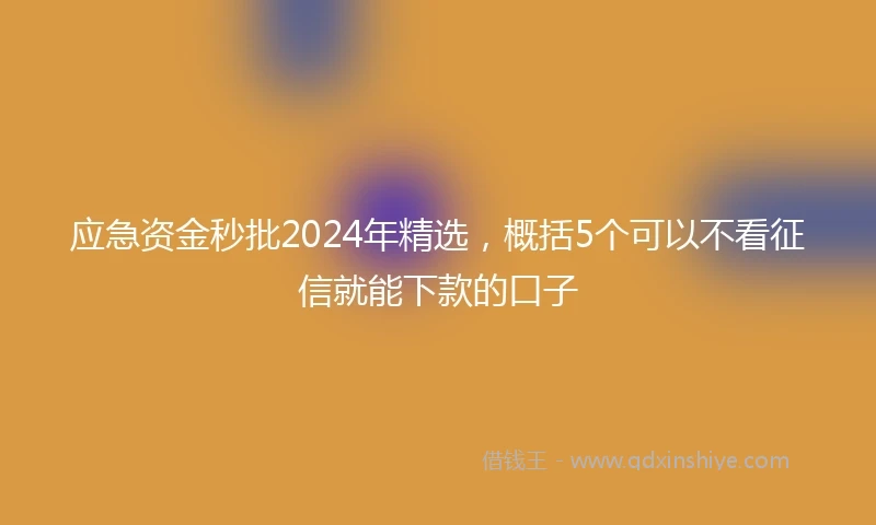 应急资金秒批2024年精选，概括5个可以不看征信就能下款的口子
