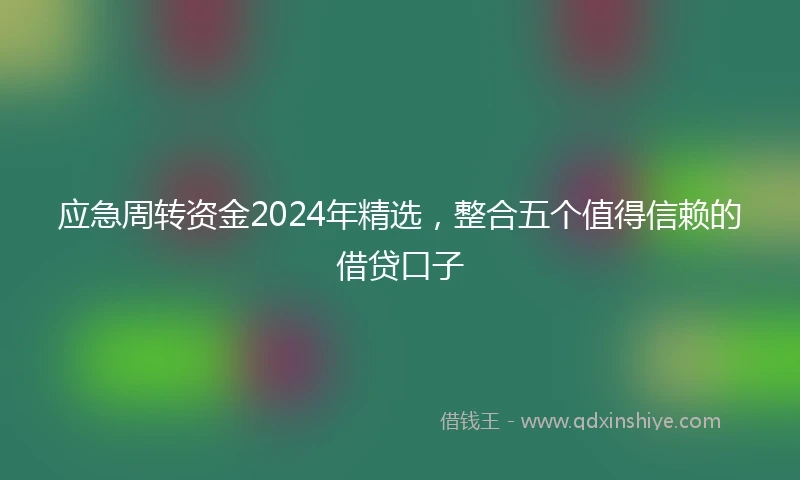 应急周转资金2024年精选，整合五个值得信赖的借贷口子