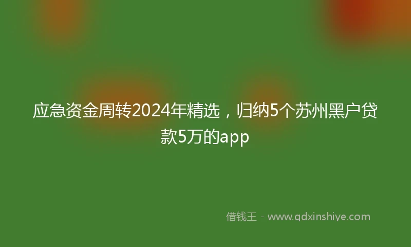 应急资金周转2024年精选，归纳5个苏州黑户贷款5万的app