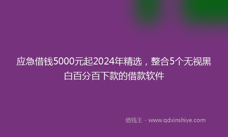 应急借钱5000元起2024年精选，整合5个无视黑白百分百下款的借款软件