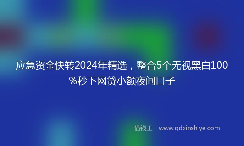 应急资金快转2024年精选，整合5个无视黑白100%秒下网贷小额夜间口子