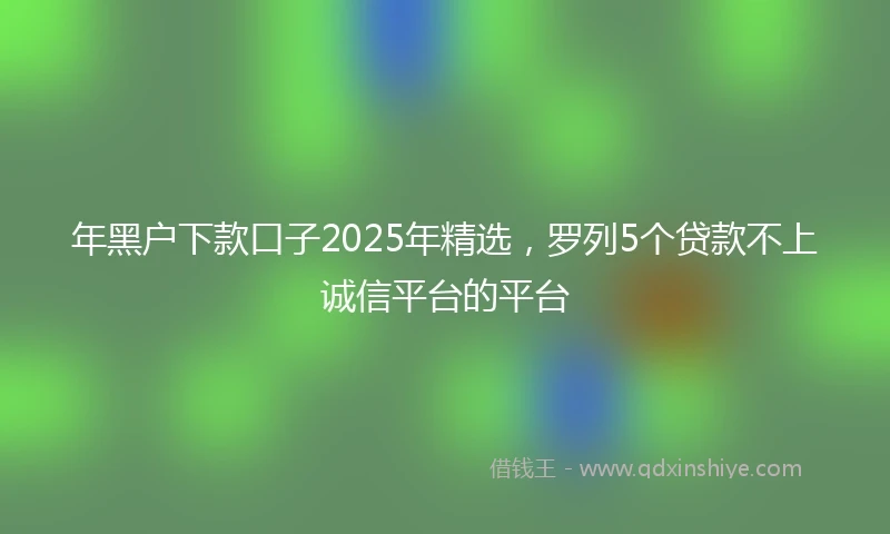 年黑户下款口子2025年精选，罗列5个贷款不上诚信平台的平台
