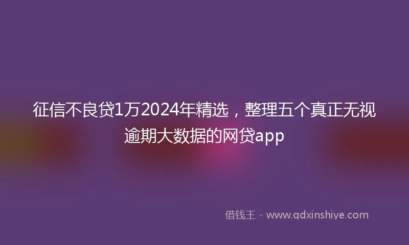 征信不良贷1万2024年精选，整理五个真正无视逾期大数据的网贷app