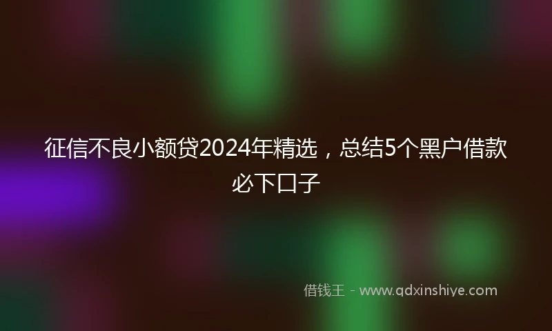 征信不良小额贷2024年精选，总结5个黑户借款必下口子