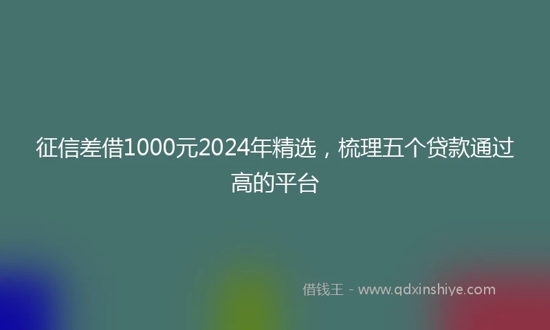 征信差借1000元2024年精选，梳理五个贷款通过高的平台