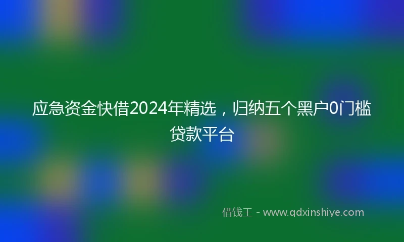应急资金快借2024年精选，归纳五个黑户0门槛贷款平台