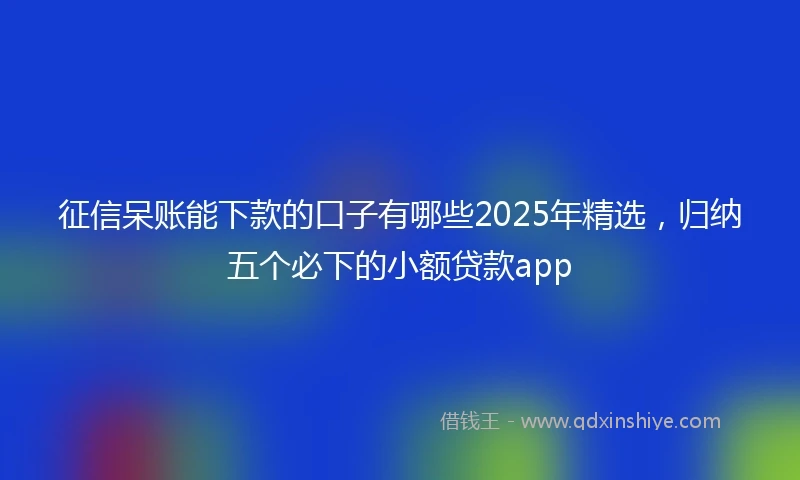 征信呆账能下款的口子有哪些2025年精选，归纳五个必下的小额贷款app