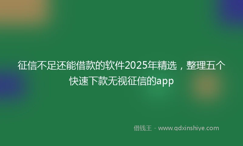 征信不足还能借款的软件2025年精选，整理五个快速下款无视征信的app