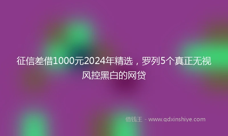 征信差借1000元2024年精选，罗列5个真正无视风控黑白的网贷