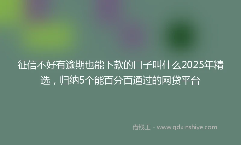 征信不好有逾期也能下款的口子叫什么2025年精选，归纳5个能百分百通过的网贷平台