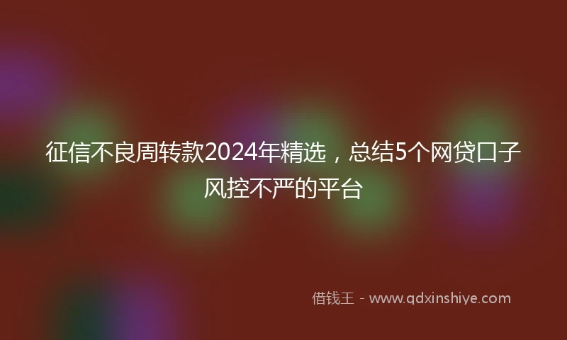 征信不良周转款2024年精选，总结5个网贷口子风控不严的平台