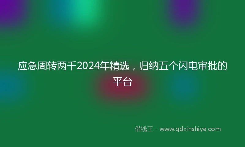 应急周转两千2024年精选，归纳五个闪电审批的平台