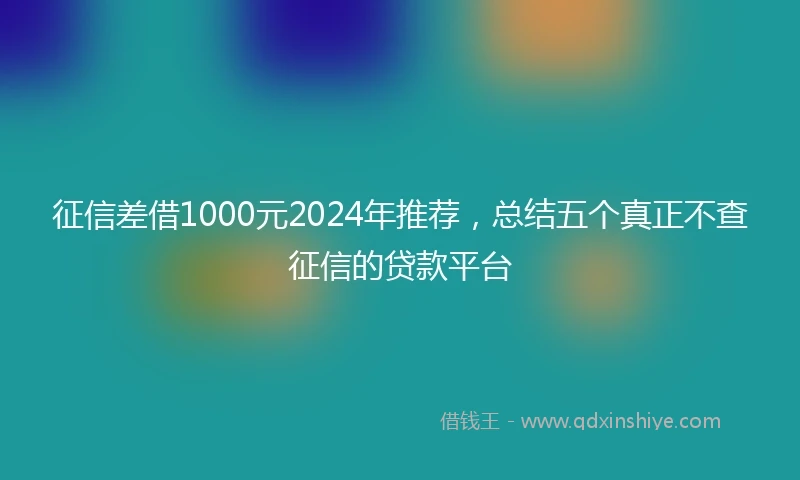 征信差借1000元2024年推荐，总结五个真正不查征信的贷款平台