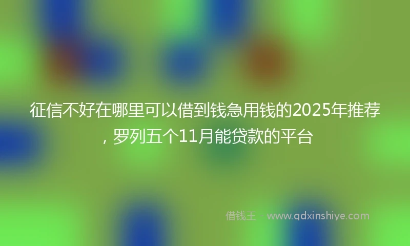 征信不好在哪里可以借到钱急用钱的2025年推荐，罗列五个11月能贷款的平台
