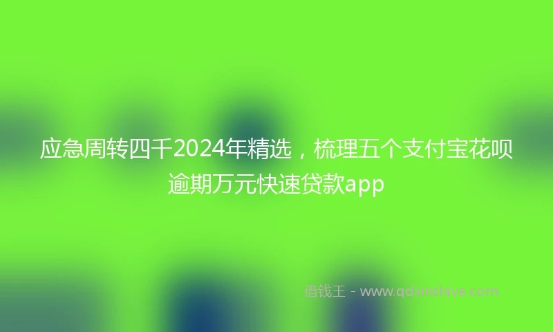 应急周转四千2024年精选，梳理五个支付宝花呗逾期万元快速贷款app