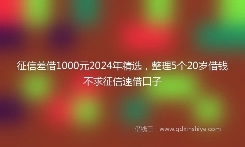 征信差借1000元2024年精选，整理5个20岁借钱不求征信速借口子