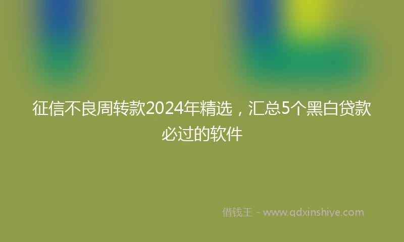 征信不良周转款2024年精选，汇总5个黑白贷款必过的软件