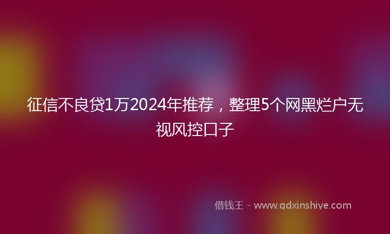 征信不良贷1万2024年推荐，整理5个网黑烂户无视风控口子
