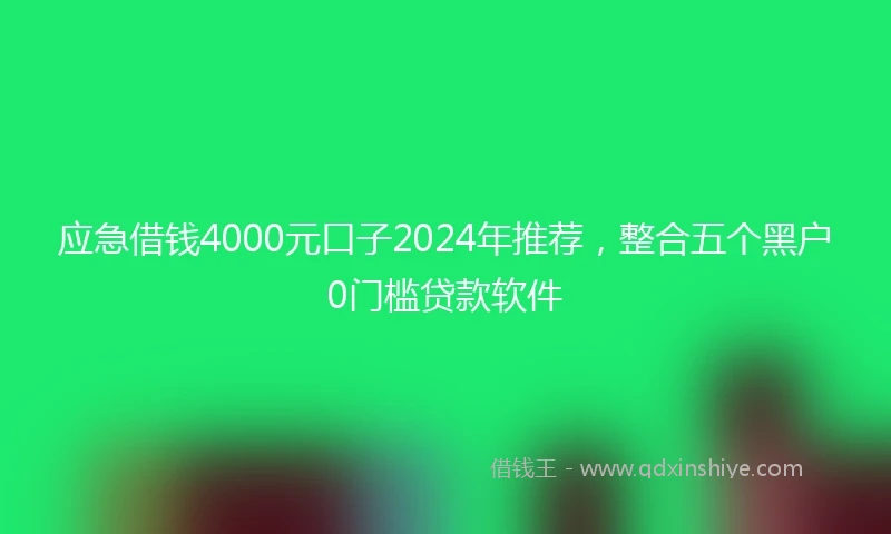 应急借钱4000元口子2024年推荐，整合五个黑户0门槛贷款软件