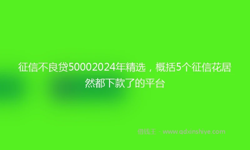 征信不良贷50002024年精选，概括5个征信花居然都下款了的平台