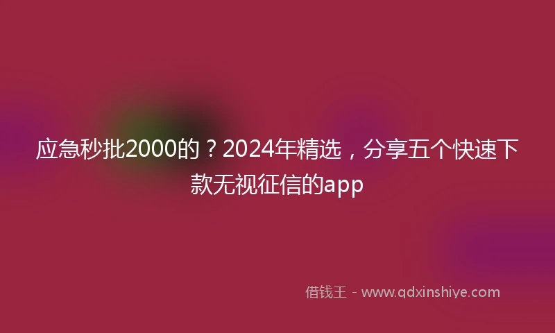 应急秒批2000的？2024年精选，分享五个快速下款无视征信的app