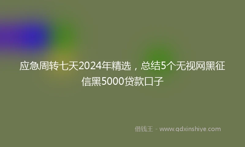应急周转七天2024年精选，总结5个无视网黑征信黑5000贷款口子